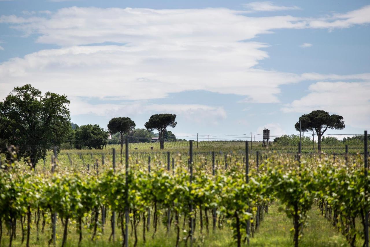 Penzion Agriturismo Trere Faenza Exteriér fotografie