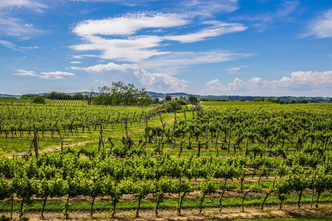 Penzion Agriturismo Trere Faenza Exteriér fotografie