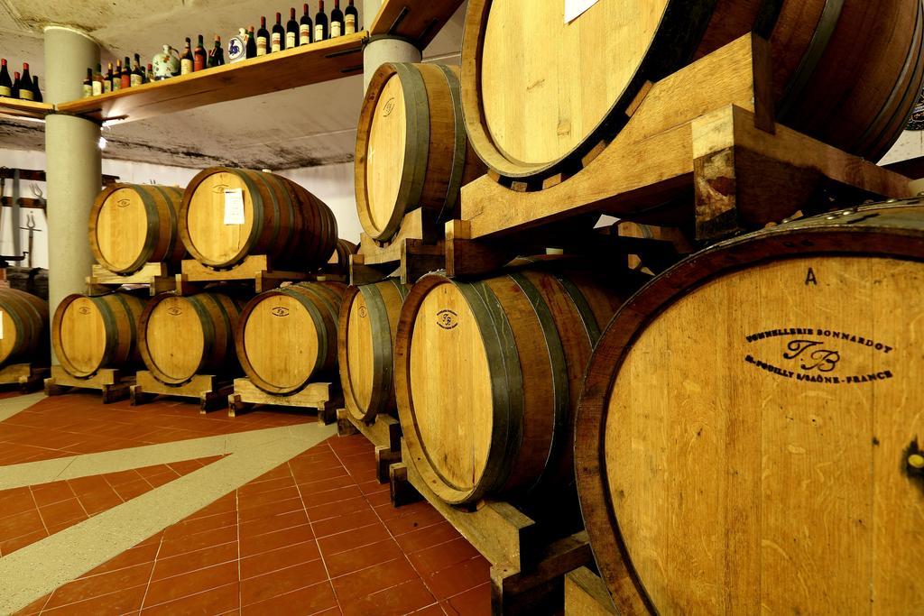 Agriturismo Trere Faenza Exteriér fotografie