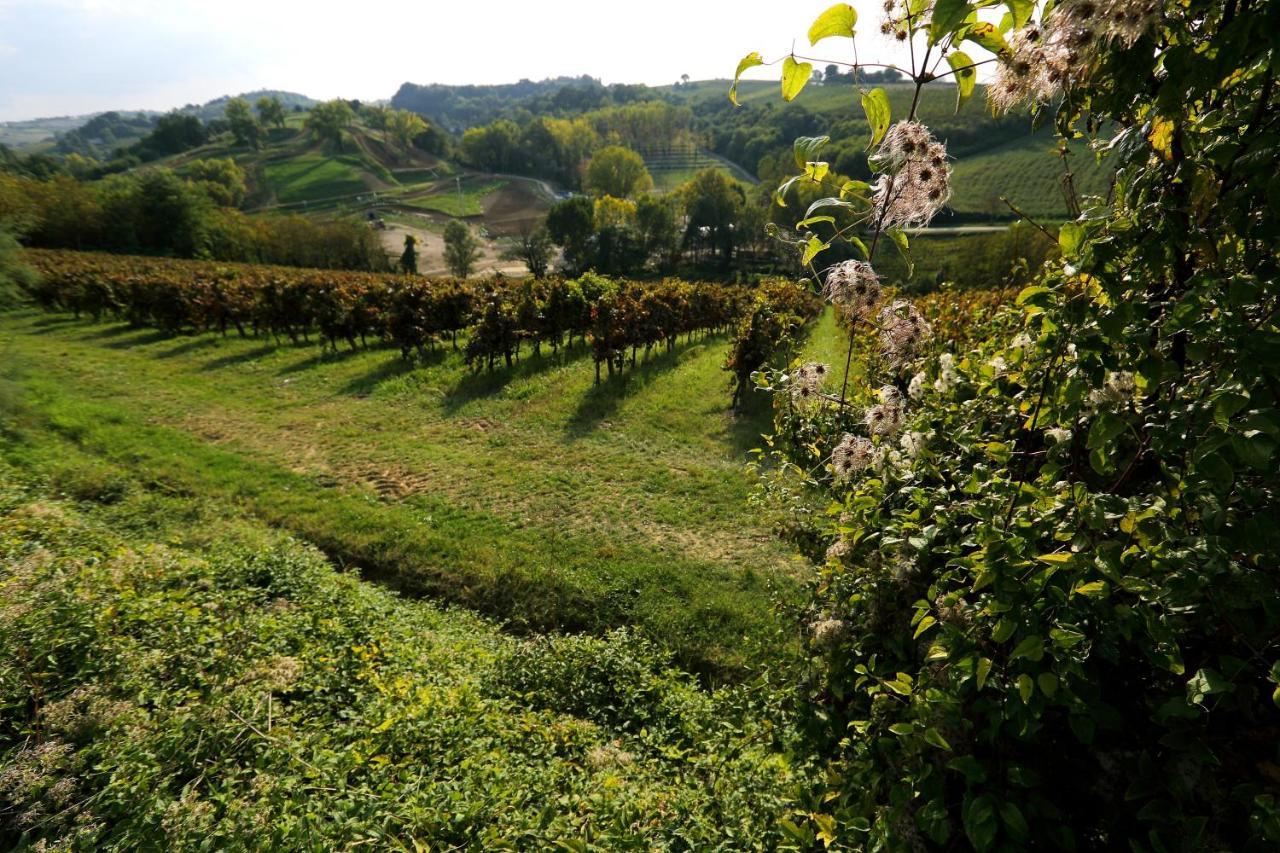 Penzion Agriturismo Trere Faenza Exteriér fotografie